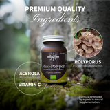 Mico-Polypor Extracto Puro ECO de Polyporus