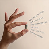 Suplemento para hombres Optimum Men