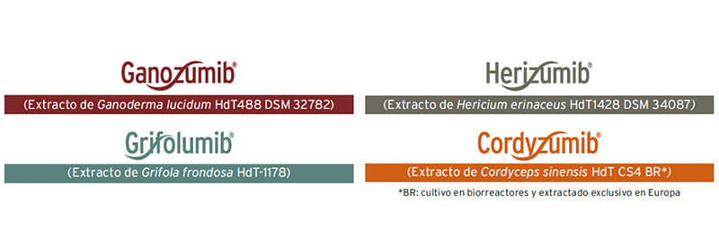 Extractos MIBS Hifas da Terra 2023