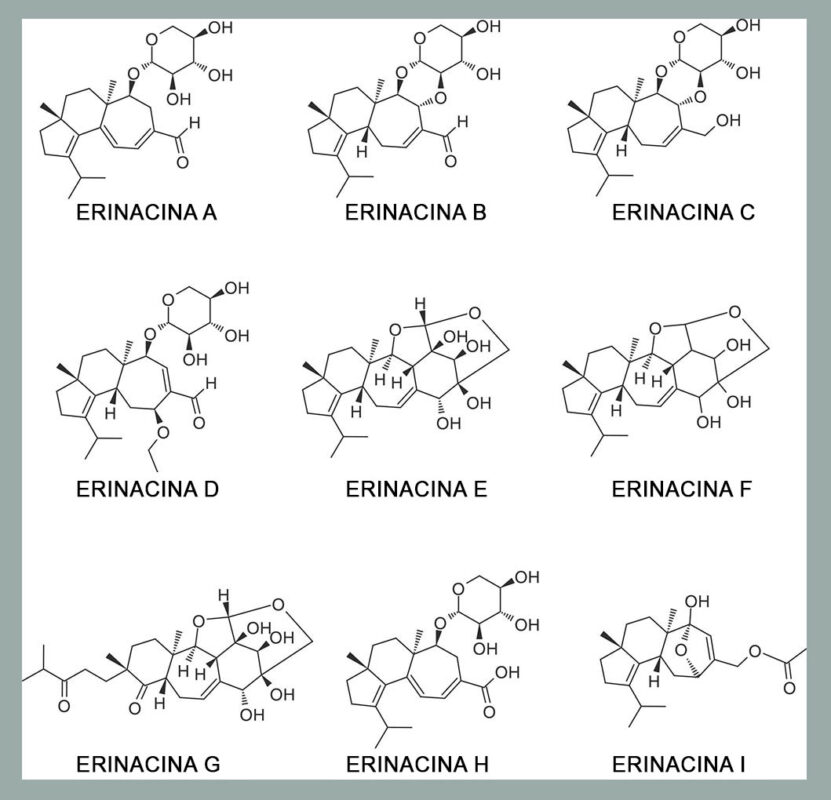 moleculas-erinacinas